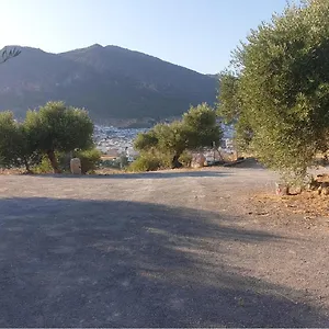 El Mirador Algodonales